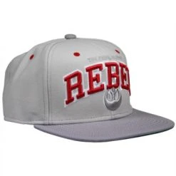 Brandneu ✔️ Starter Star Wars: Snapback Cap "Rebel" - Grau/rot/grün 🤩